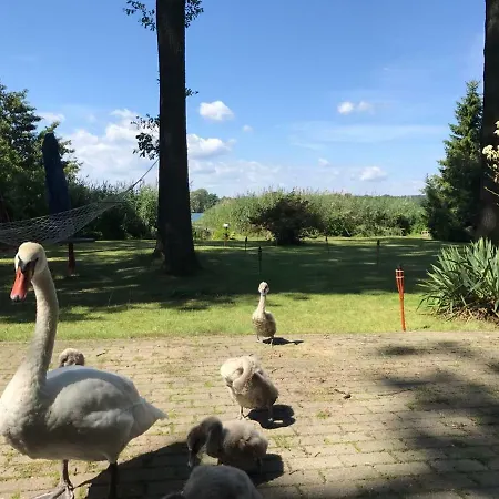 Ferienhaus Direkt Am See Bad Saarow Extérieur photo