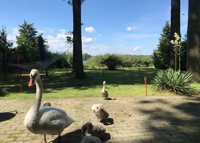 Ferienhaus Direkt Am See