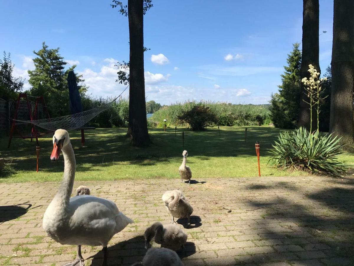 Direkt Am Holiday home Bad Saarow